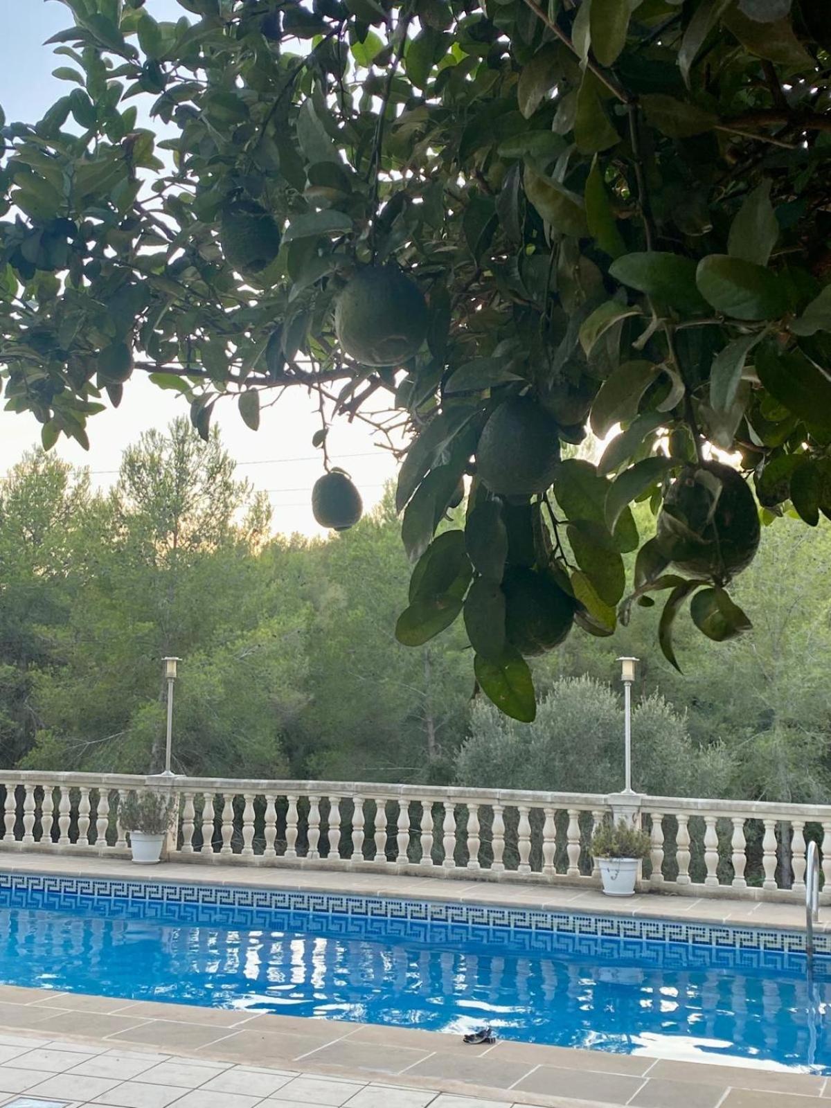 La Casa Dels Boscos