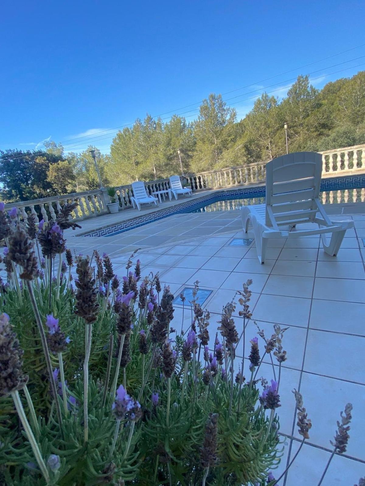 Holiday home La Casa Dels Boscos